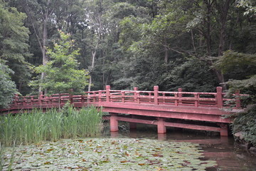 溪上木桥