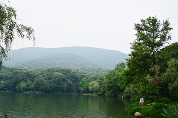 山清水秀