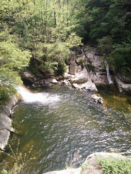 绿色风景