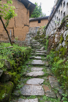 丽水 云和 坑根村