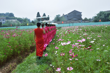 花海 花园