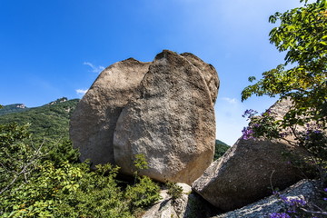 洛阳天池山