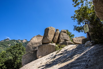 洛阳天池山