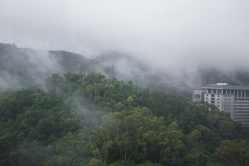 深圳山居