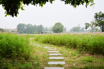 花田小路