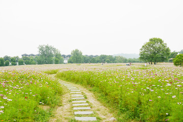 花田石板路