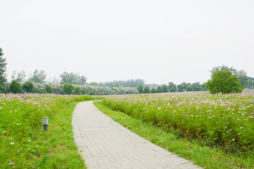 花田小路