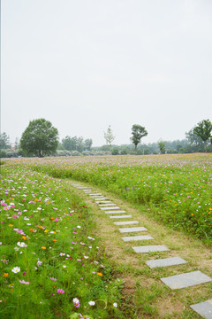 花田石板路