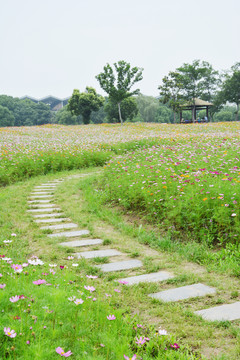 花田石板小路