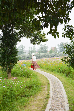 田园小路