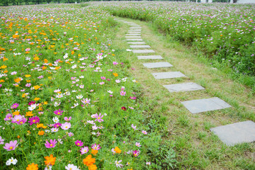 花田石板小路