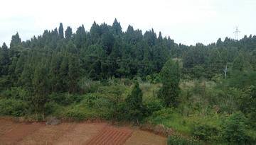 重庆山村风景