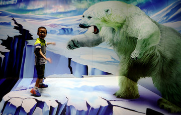 北极熊 冰川 危险