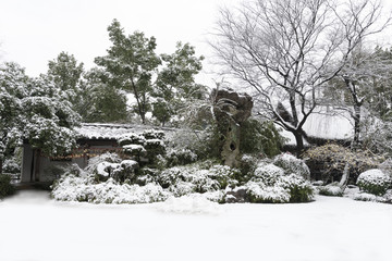 沈园雪景