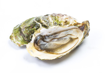 生蠔 牡蠣