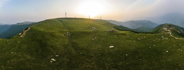 草甸全景