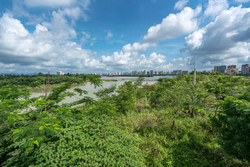 热带河流