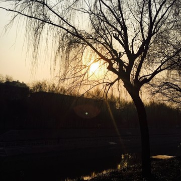 郑州金水河畔