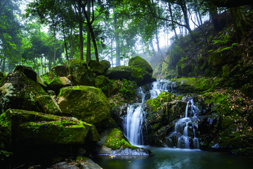 密林深处 美丽山景