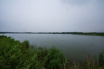 龙湖湿地