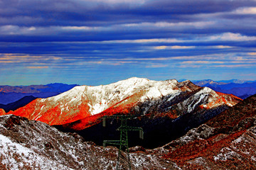 雪原风采