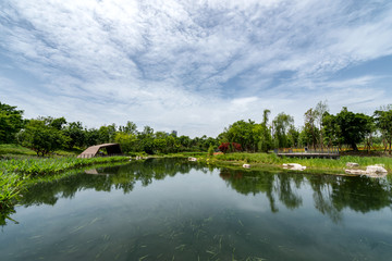 成都天府新区天府公园风光