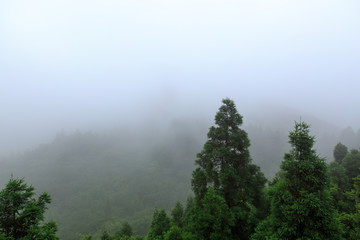 南岳衡山雾中风光