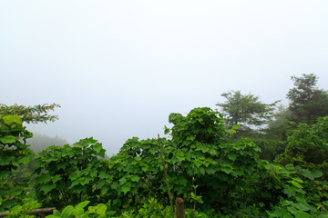 南岳衡山禹王城雾中风光