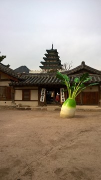 韩国传统民居 院落