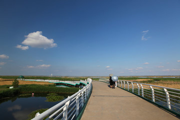 观光桥 大庆 龙凤 湿地 桥