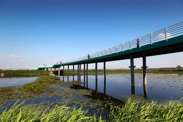 观光桥 大庆 龙凤 湿地