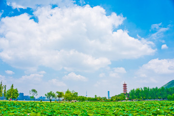 徐州市云龙湖风景区苏公塔