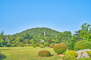 绿化荒山 高清大画幅