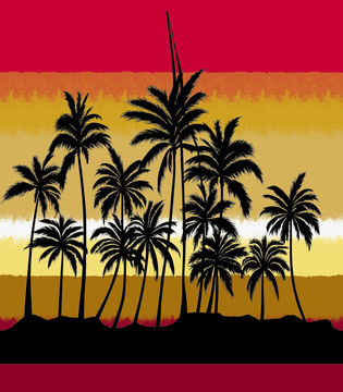 热带植物棕榈树