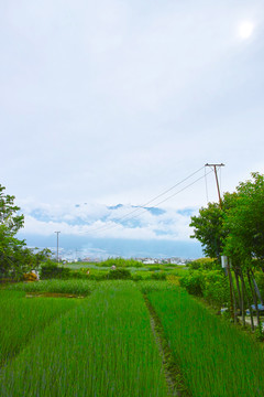 苍山洱海