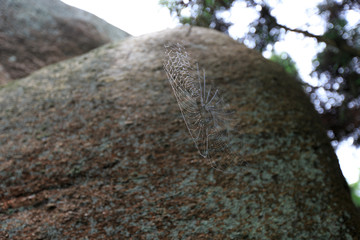 南岳衡山禹王城巨石