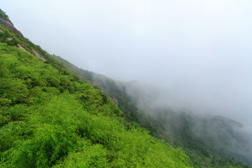 南岳衡山雾中风光