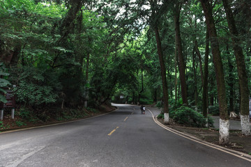 林间公路