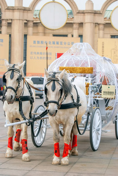 婚礼马车