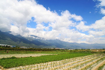 乡村风景