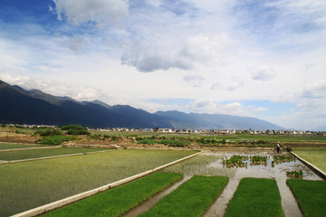 大理乡村风光美景