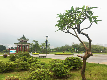 波海湖公园 星湖 七星岩