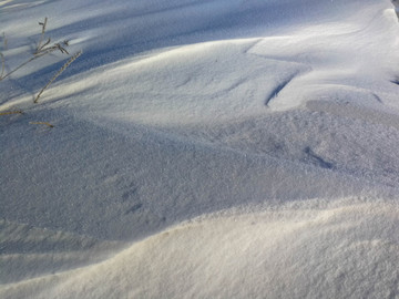 雪地纹理