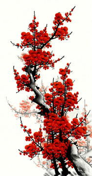 紅梅