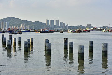 珠海渔港 香洲渔港 珠海香洲