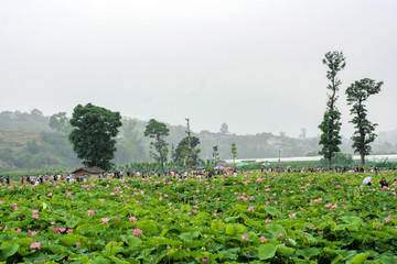 攀枝花风光