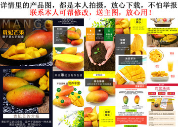 貴妃芒詳情