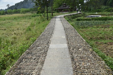 乡间小道 乡间小路 石子路