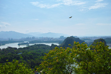 鼎湖 肇庆