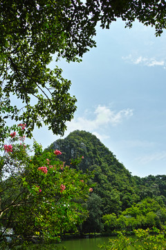 鼎湖 肇庆 景观 峡谷 风景